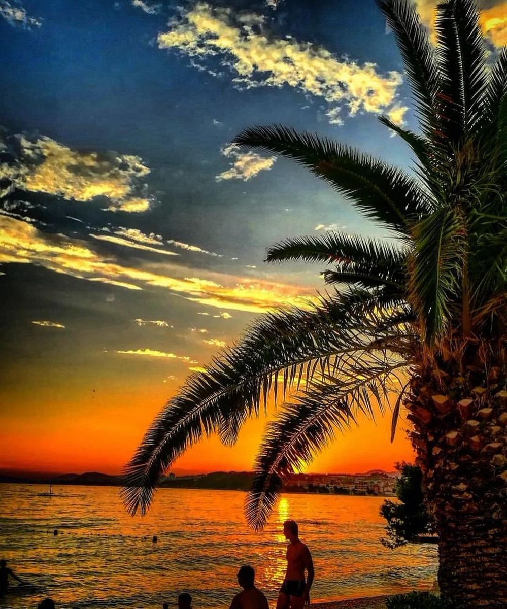 MirkoVasi2's tweet photo. Good evening to all 💫🌖🌴⭐💙 https://t.co/A33LPp8fAW