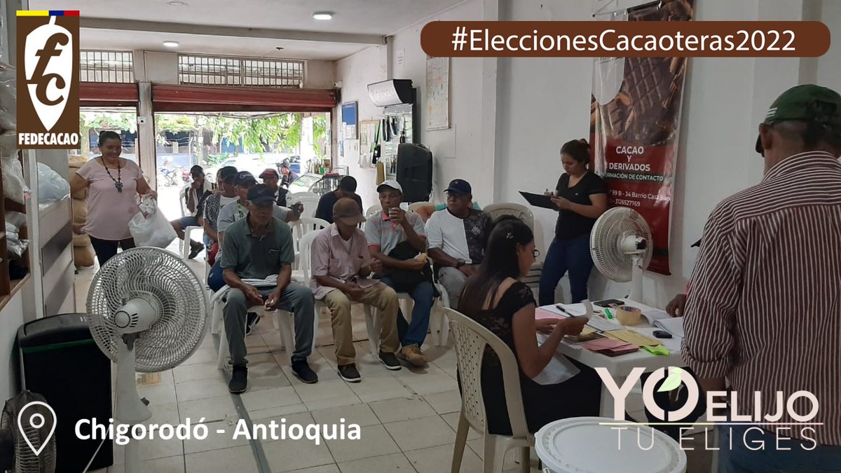 fedecacao's tweet photo. Agradecemos el acompañamiento de las entidades e instituciones en este importante y transparente proceso #EleccionesCacaoteras2022  Chigorodó, Carmen de Bolívar, Pauna y Bucaramanga.
#FelizDomingo #Cacao #CacaoColombiano #Chocolate #Colombia #Ilovecacao #Bogota #AmorPorElCacao https://t.co/ZCqOh5cLdt