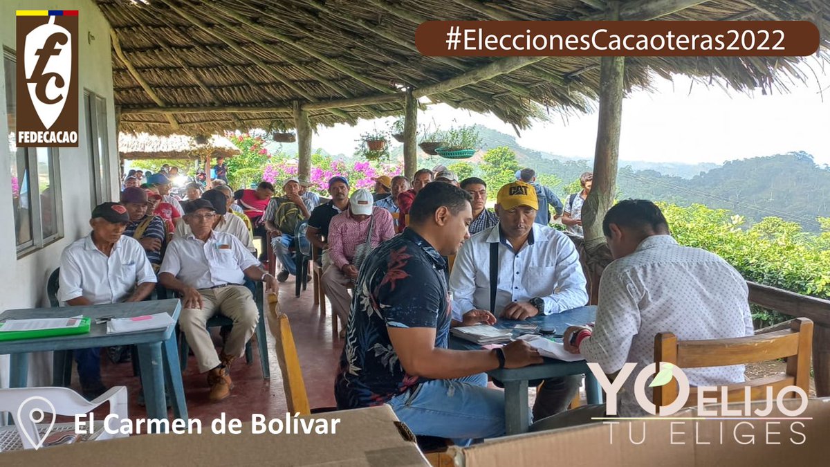 fedecacao's tweet photo. Agradecemos el acompañamiento de las entidades e instituciones en este importante y transparente proceso #EleccionesCacaoteras2022  Chigorodó, Carmen de Bolívar, Pauna y Bucaramanga.
#FelizDomingo #Cacao #CacaoColombiano #Chocolate #Colombia #Ilovecacao #Bogota #AmorPorElCacao https://t.co/ZCqOh5cLdt
