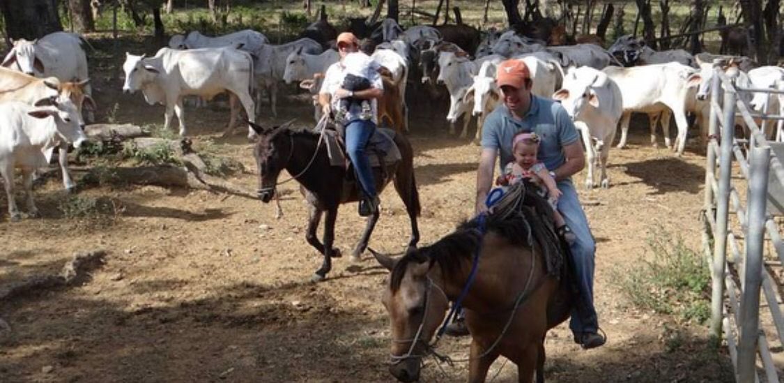 gabycarrizoj's tweet photo. Felicidades a todos los ganaderos y ganaderas, agradezco su esfuerzo para contribuir al crecimiento de nuestro país. Hoy es un día que atesoro con mucha alegría por todo lo que aprendí de mi abuelo Guille en el campo, un hombre trabajador y dedicado a su familia. 🇵🇦👏🏻 https://t.co/R0tYrv8e64