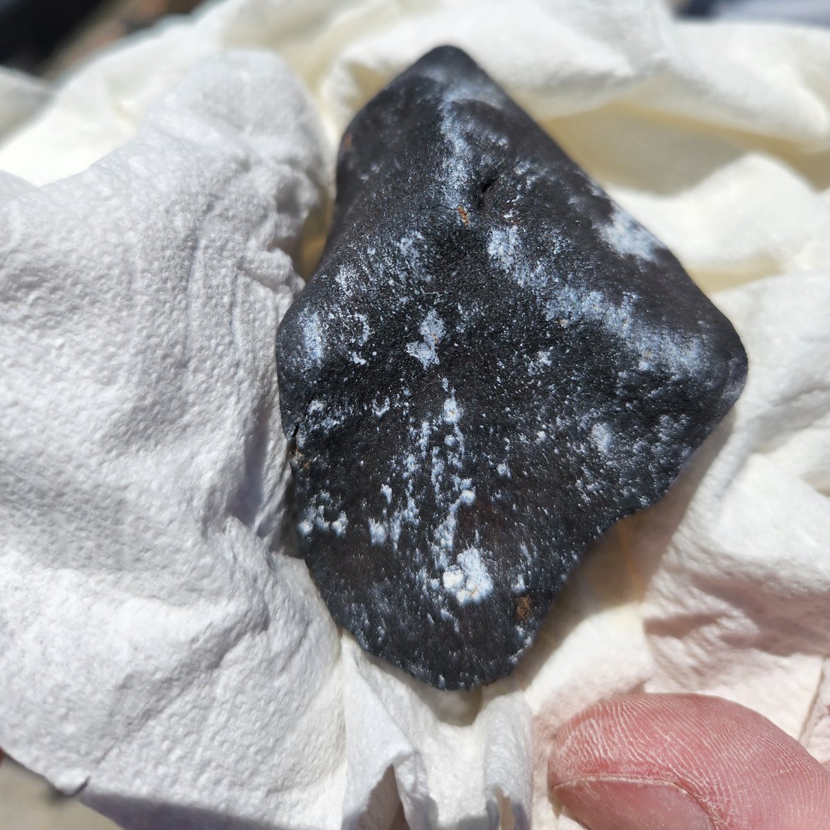 UUtah's tweet photo. Check out these images of the meteorite that landed in the Bonneville Salt Flats a few weeks ago!

The 1st photo shows the meteorite &amp; its black fusion crust with white salt stains from the impact.

The 2nd photo is the meteorite with a cut slice. https://t.co/QofU9tJXHi