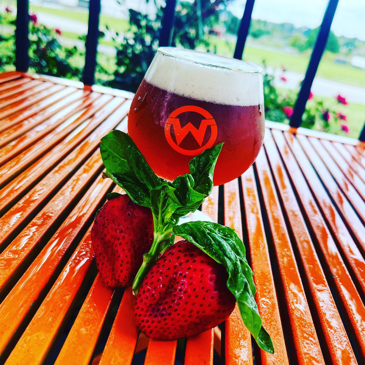 windshiftbrew's tweet photo. The rain has passed and it looks to be a beautiful day to enjoy a #SmallBatchSunday on the patio. #StrawberryBasil #BelgianEnkle https://t.co/e9I21STNhr