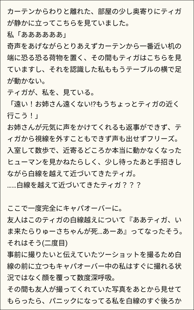 りゅーさ tweet media