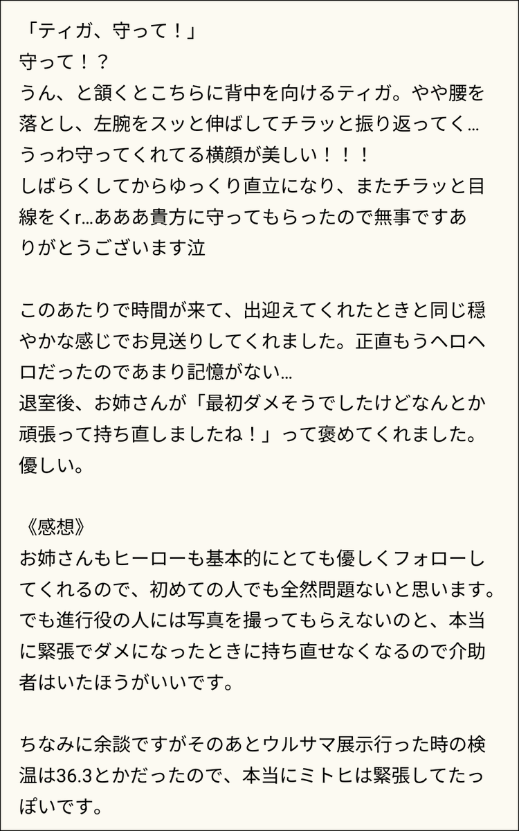 りゅーさ tweet media