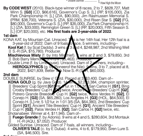 westwinfarms's tweet photo. Hip #156 has a pedigree with STAR power! Take a look at this colt by Code West out of Kona Kat! This colt has a long list of black type in his pedigree! His dam is a 1/2 sister to @BreedersCup Sprint Champ, Kona Gold! Take a look at this colt located in Barn D1 #CodeWest https://t.co/Y6szSOKJMi