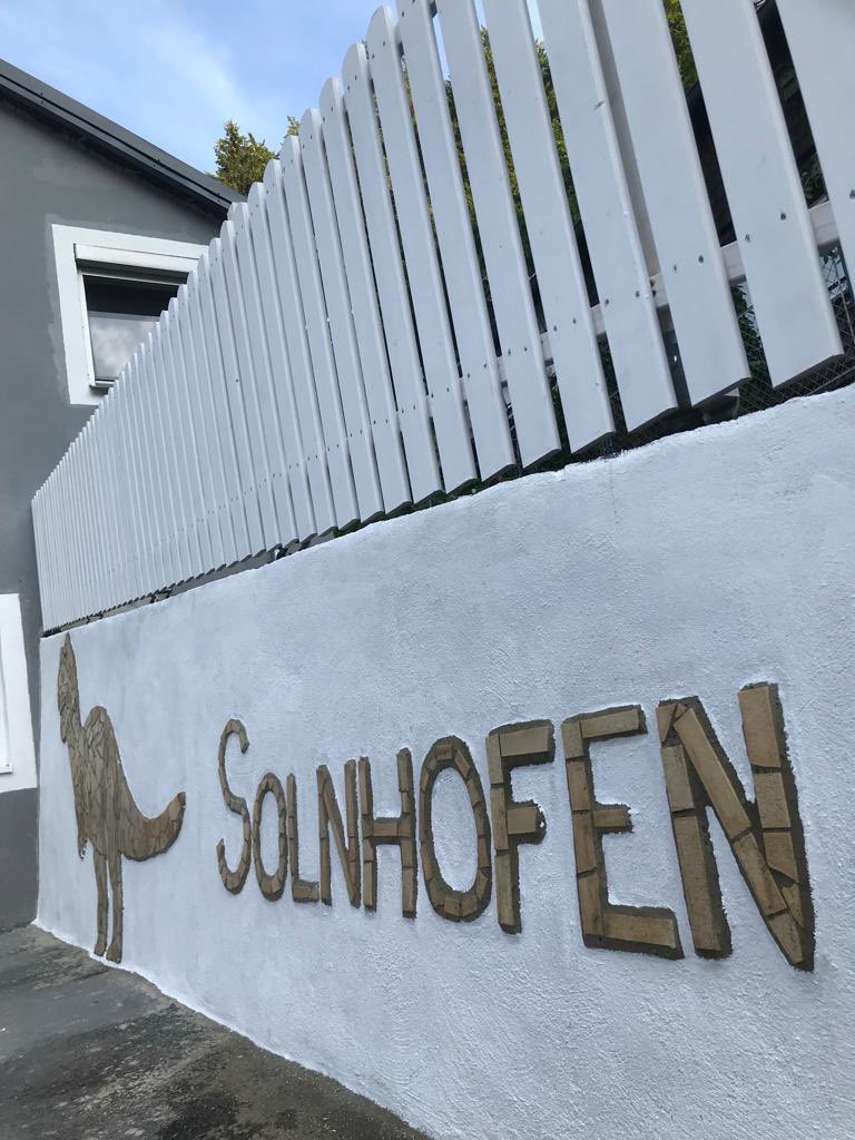 alcoroi's tweet photo. Haus Monika #ferienwohnung#dinosaurier#schön#stein#selbstgemacht https://t.co/ArDLNXRqPE