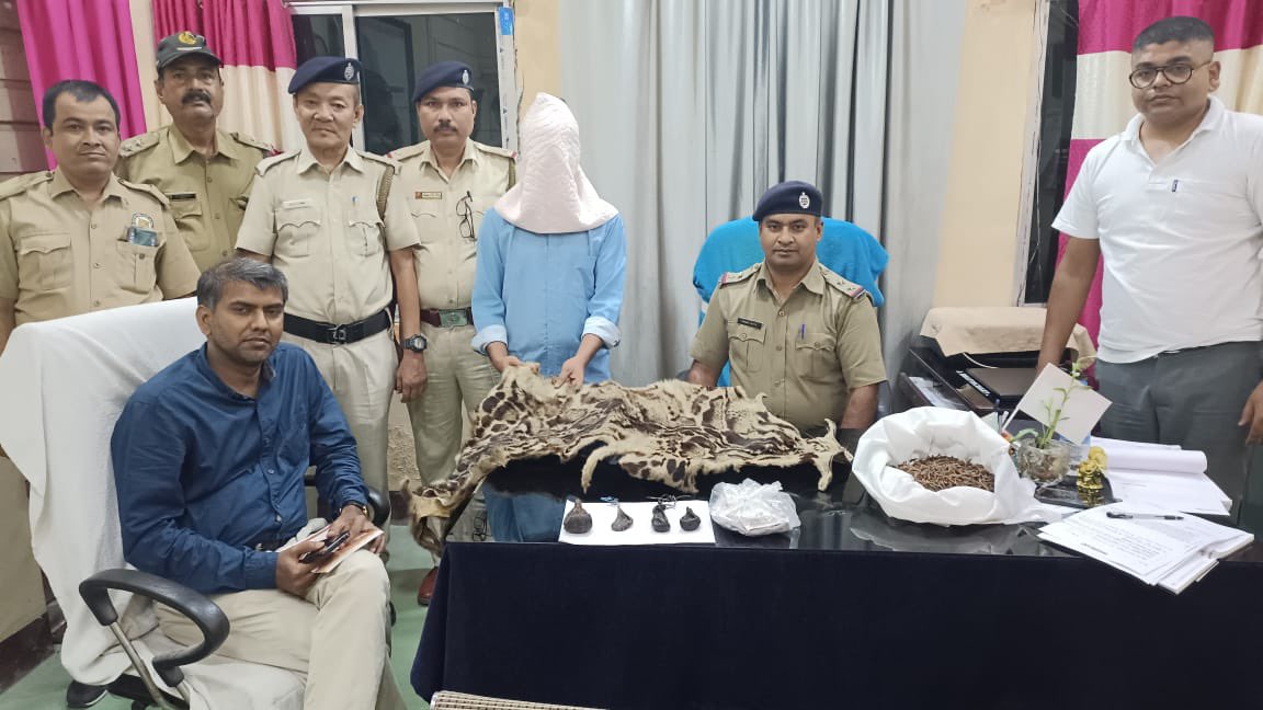 Such is the spread of wildlife trade. On police info a joint operation by Alipurduar Police and Buxa Tiger Reserve today arrested one person with skin of highly rare Clouded leopard, Gall bladders and rare Cordyceps also called Caterpillar fungus. Kudos to all involved.