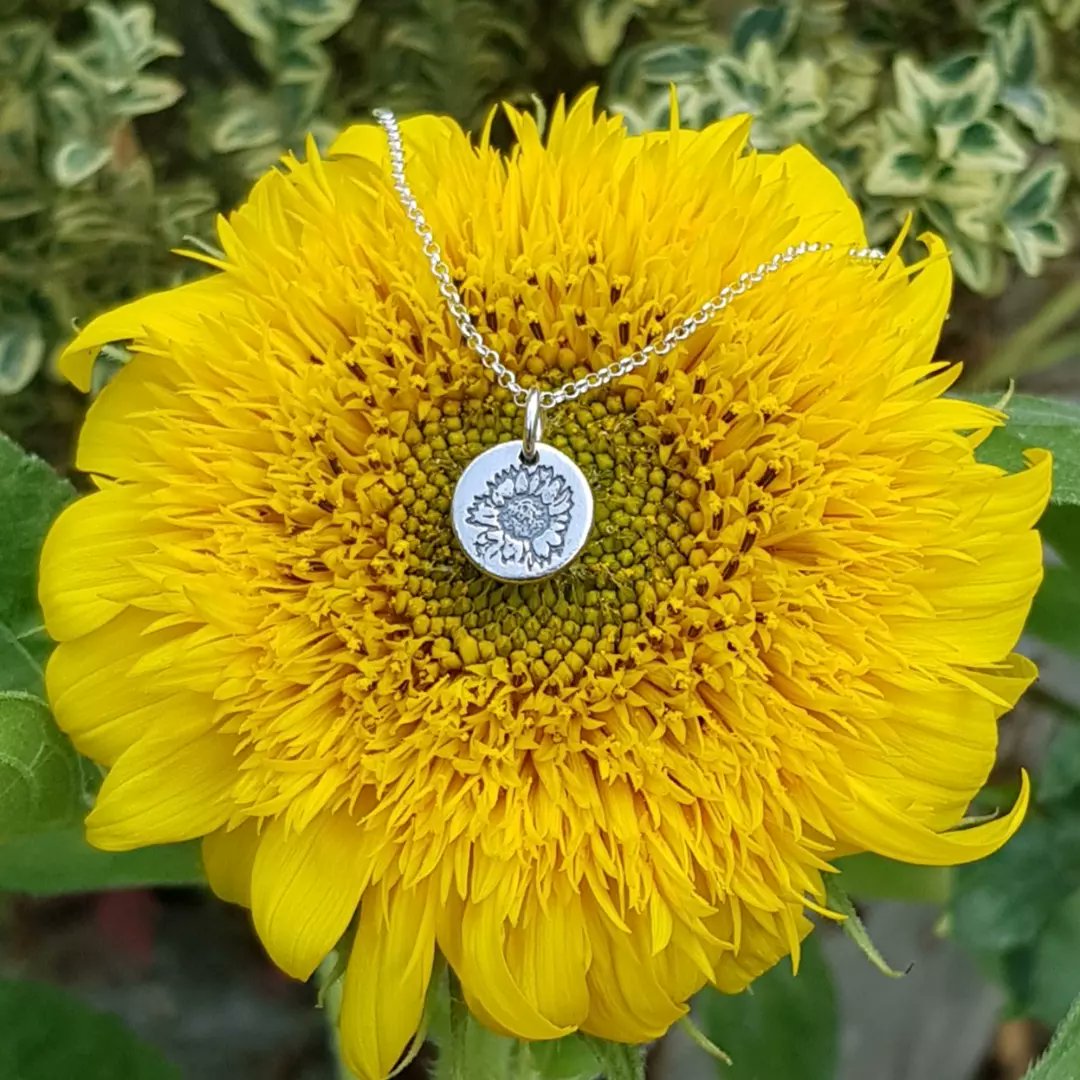 Flutterbuyzstu1's tweet image. I have waited so patiently ALL summer for my dwarf sunflowers to finally flower 🌻

So beautiful and dinky, I wanted to photograph my tiny sunflower against the sunflower.
I&apos;m very pleased with how lovely they look together.

#sbswinner #sunflower #jewellery