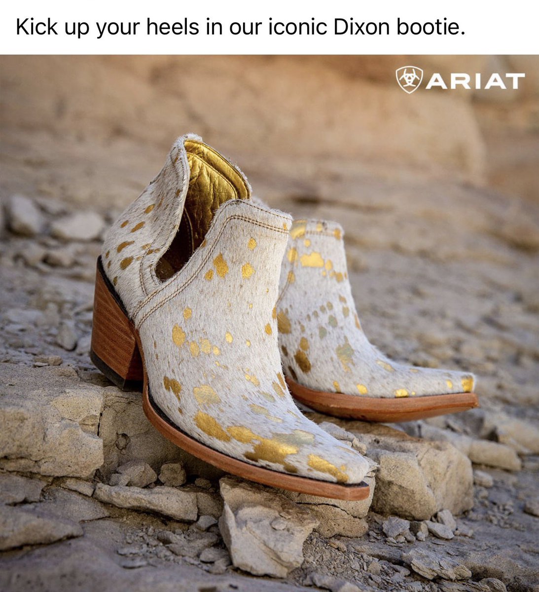 🌷 DeeDee 🌷 tweet media