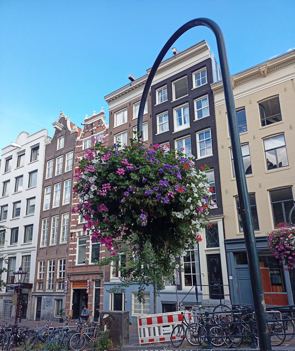 TonkovaMartina's tweet photo. The IGCA Congress 2022 takes place in Amsterdam. #IGCA https://t.co/sWYKBIbwO3