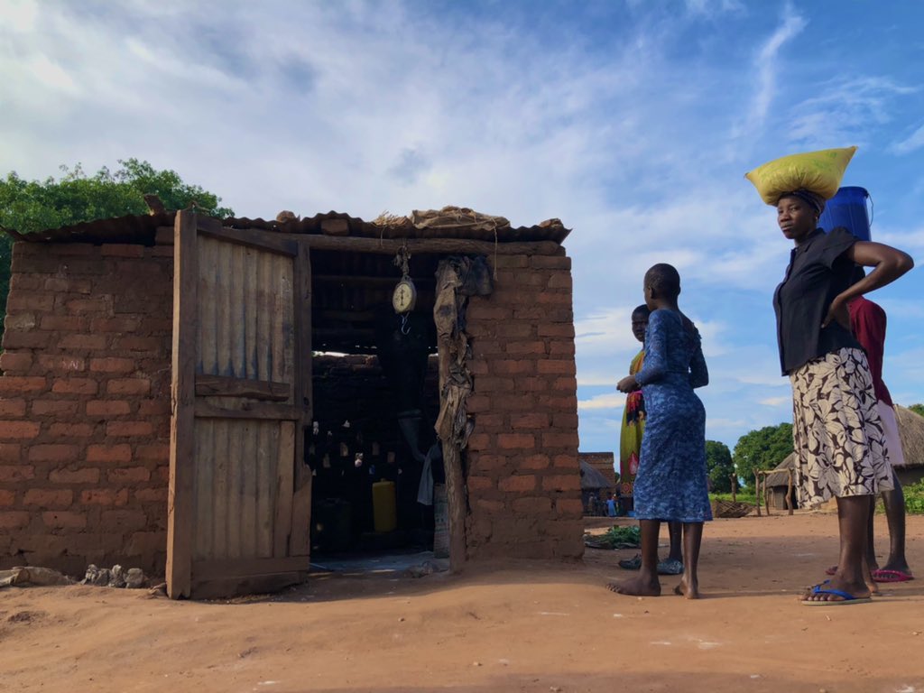 kalulemma's tweet photo. Women carrying harvested Maize to the maize mill in Pogora, Pader District.
.
As part of the culture in the Acholi Sub-region, every household grows maize, simsim, soya beans, and millet to be prepared with food and sauce when the dry season comes.
#notesofkalule https://t.co/KaTPRL0lau
