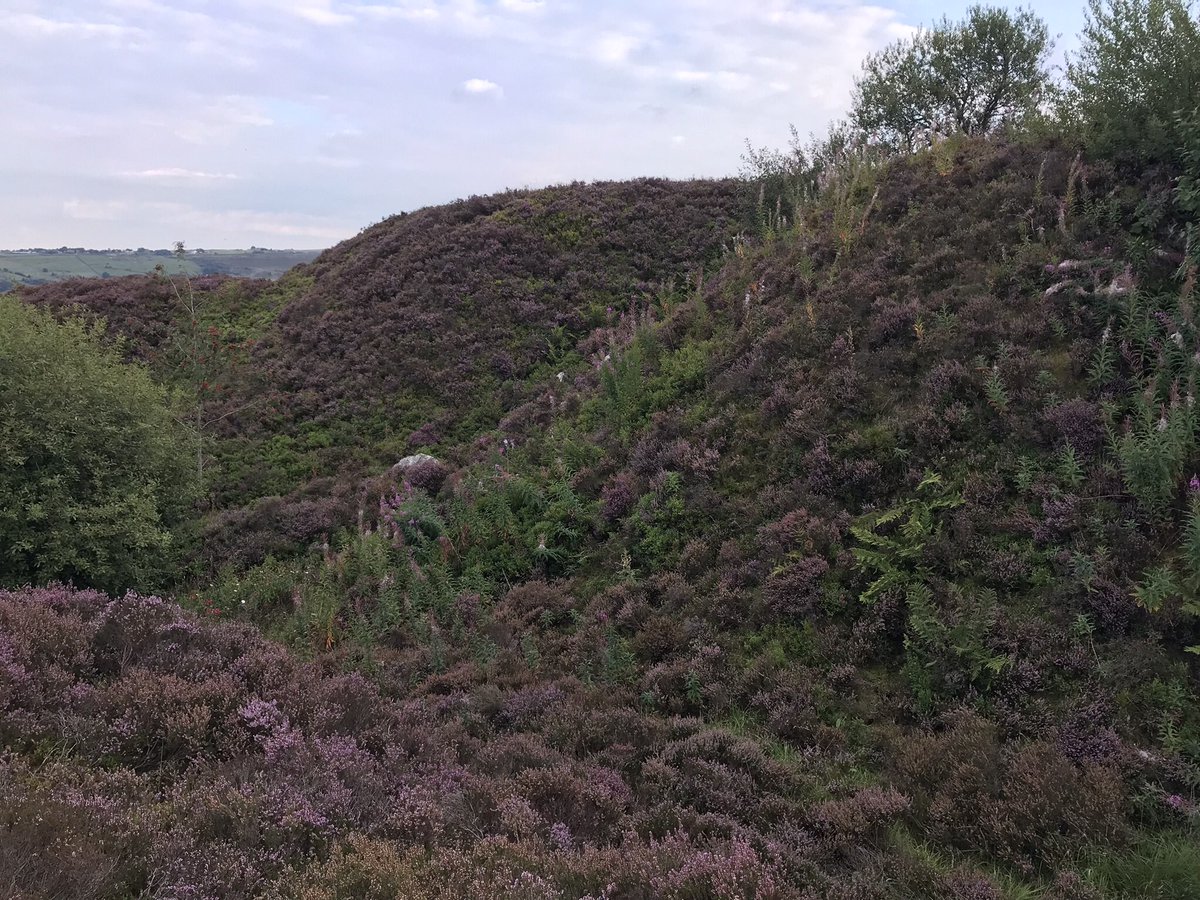 _poppyj's tweet photo. An appropriately brooding sky for yesterday’s performance of ‘Wuthering Heights’ at @BronteParsonage. So cool to see my favourite story told in the surroundings that inspired it! Thank you @SISATA1! ❤️ https://t.co/klnXew906t