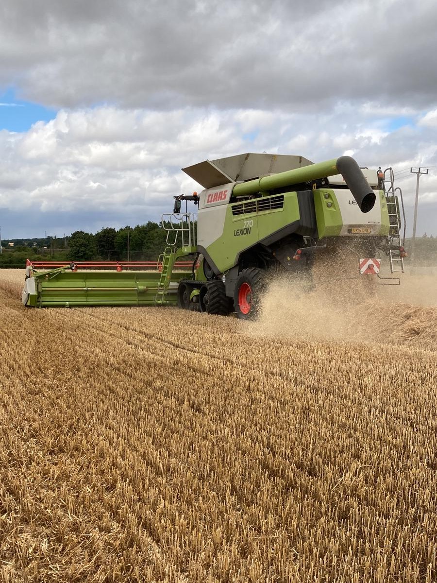 CopeSeeds's tweet photo. Did you know that Nelson can reduce the need for Nitrogen inputs? 💰

“Nelson is an important winter wheat which has a naturally high protein and strong disease profile, meaning it's a lower risk. It can produce 13.3% – 14% protein in untreated plots."

#copeseeds #nelson https://t.co/ncMzFbBeXe