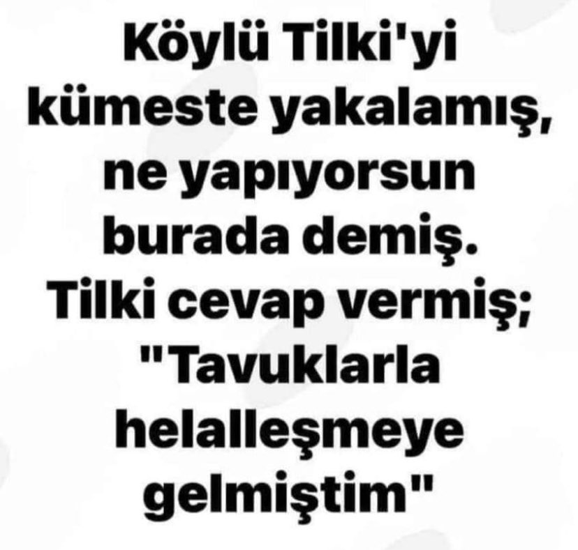 🇹🇷desper@do🇹🇷 (@trabzonpostasi) on Twitter photo 