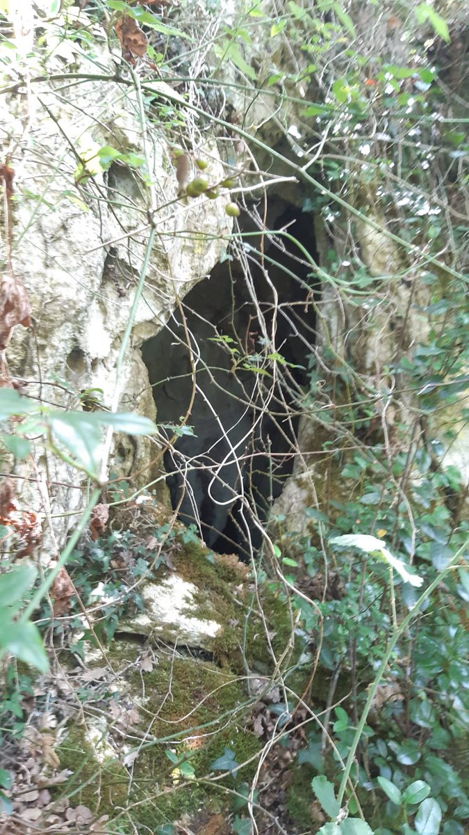 Sasian barrena... 🍀🍀