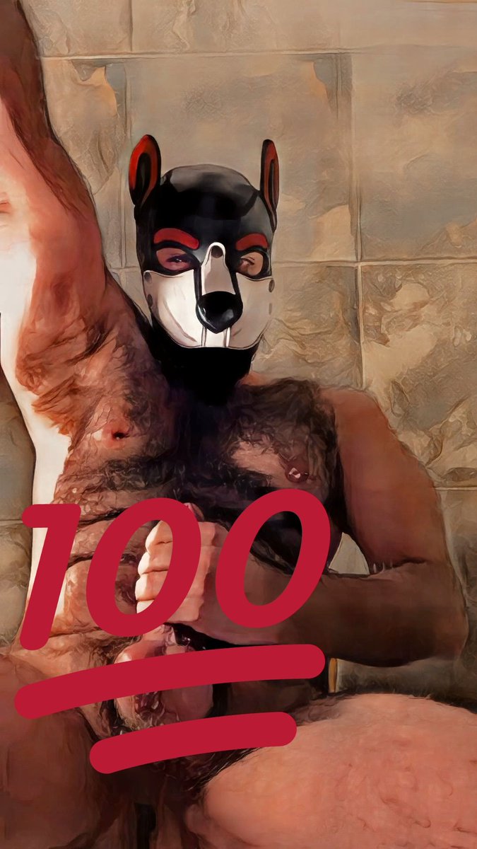 dcnaberius's tweet photo. Te vienes a las regaderas con este perro? 💦🦊 // Do you come to the showers with this dog? 💦🦊 https://t.co/jFYQ5yAynH