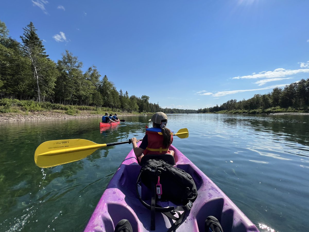 Ted Kouri tweet media