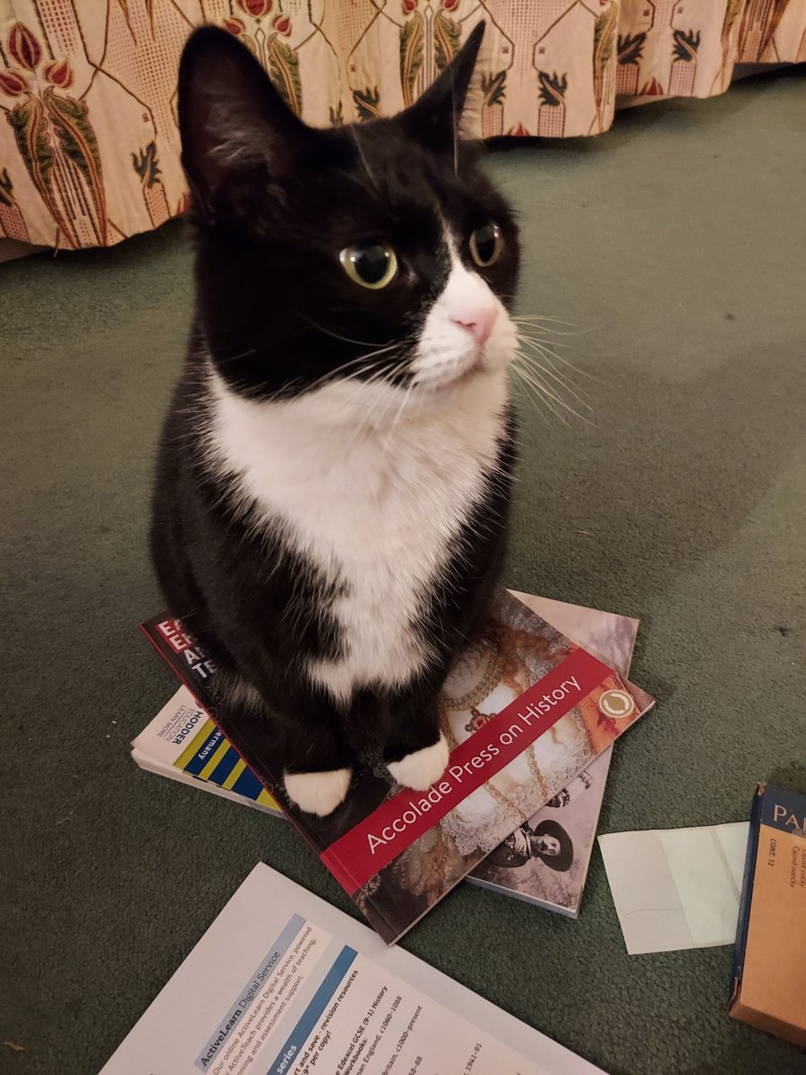 HistoryNell's tweet photo. What is with my cats and textbooks? #cats #CatsOfTwitter #blackandwhitecat #historyteacher #history #planningshoutout #edutwitter #teachertwitter #catsonbooks #Betty https://t.co/6aP7Us25Q1