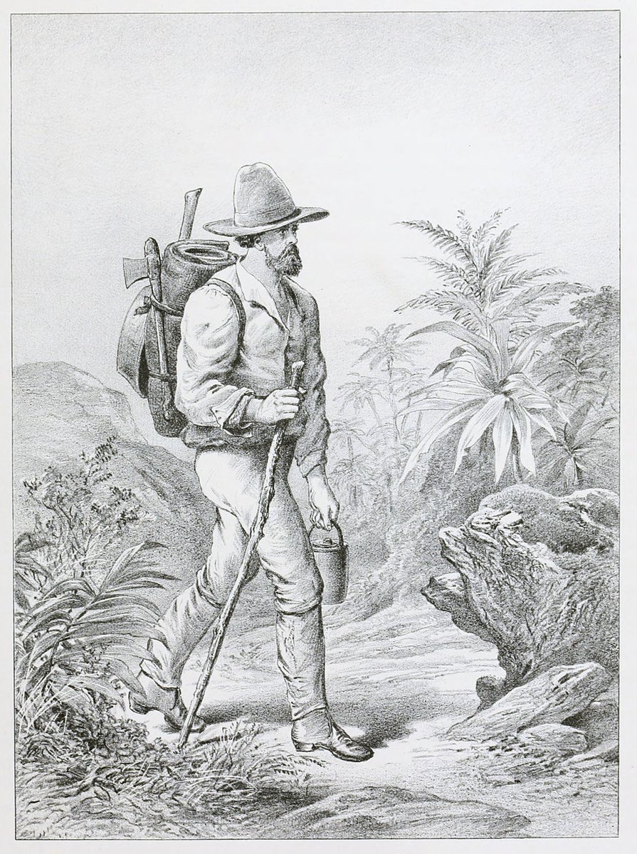 DavidNind's tweet photo. I've processed and added the illustrations from "Rambles on the golden coast of the South Island of New Zealand" (1886 edition) to Wikimedia Commons https://t.co/QgkQpFwTj4 - my favourite one is "A digger on the Tramp" (Public Domain). Some great illustrations of early NZ! https://t.co/YJfaZWpKXW
