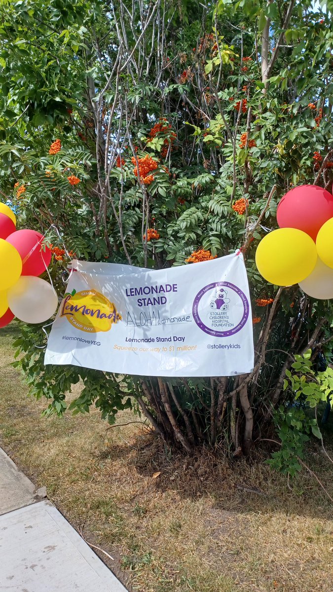 NOWtrucksicle's tweet photo. Today is Lemonade stand day! Keep an eye out for a lemonade stand in your neighborhood and spread some #LemonLoveYEG ! When you support a lemony event you're contributing to the Stollery Children's Hospital Foundation.

#1023nowradio @1023nowradio #nowtrucksicle https://t.co/63smXNbAUe