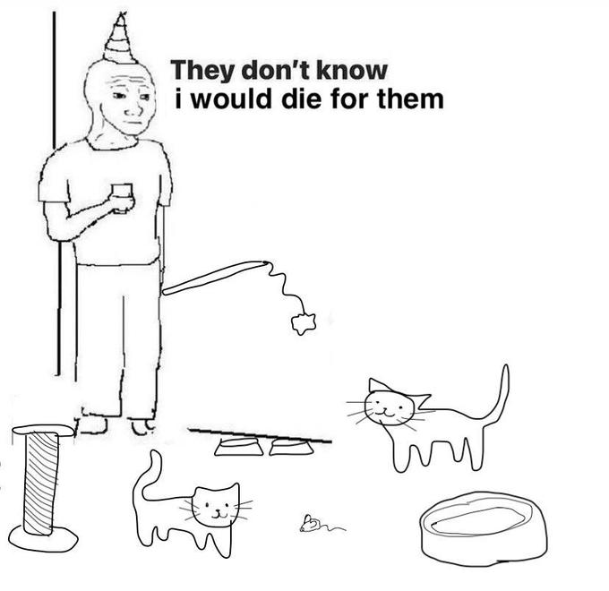 WholesomeMemes (@wholesomememe) on Twitter photo 