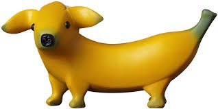 little guy alert! banana dog.