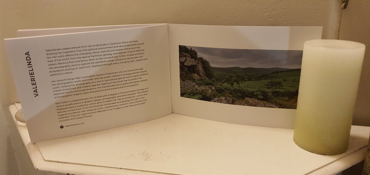 ValerieLindaArt's tweet photo. Thanks to #dartmoorcollective for hosting this great exhibition & #poltimorehouse #poltimore for allowing us to show our art in this wonderful atmospheric & enchanting environment. We loved it ! Cheers everyone https://t.co/KbMu8TCYyb