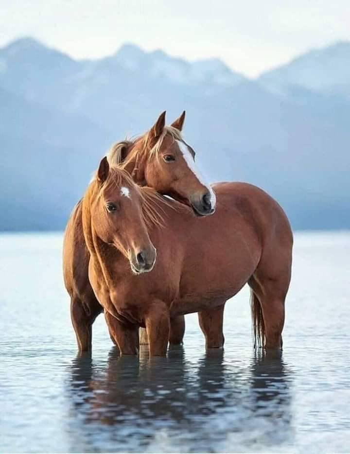 Omar Franco (@omaromafranco) on Twitter photo Siguenos 🌍💯🔄
🌻↘️↙️🌻
<a href="/haydeedelpato16/">🇦🇷👠Haydee Renessi</a>
<a href="/francesca_runca/">Francesca_runca @Cate Francesca💖😺🐕 ☮🕉☸☯</a>
<a href="/teamdinamicas/">Cami</a>
<a href="/ElanaFernande/">Simplemente yo.</a>
<a href="/DJ_Roland_ES/">DJ_Roland_ES 🌎🇸🇻🇦🇷</a>
<a href="/sami86pilang/">🇮🇩🐯𝐋𝐞𝐚𝐝𝐞𝐫'𝐬🐯🇮🇩</a>
<a href="/TuVillanoFV/">🃏 LUIS 🃏</a>
<a href="/carher0663/">⚔️ᴋᵃʳˡᵒˢʜᵉʀᵒᵈ👑⚔️</a>
<a href="/aUri_kLaU/">⛤𓂀🕉 ⃤ValKyRiE✡⃤𓂀⛤🦄</a>
🌻
<a href="/lunayessih/">𝒀𝒖𝒍𝒆𝒛 ☀️🌊⛱️</a>
@Carla_T_92
<a href="/luizcosta76/">LUIZ COSTA 😷🏠🙏🏾🥼💊💉🏨</a>
<a href="/Cris_grazzy/">✾ Ah tal da Cris ✾</a>
<a href="/UbaidKhaan/">Ubaid KhaaN</a>
<a href="/Sahara_ii/">⭕Sahara 5̳0̳K̳ ♨️</a>
@GANRLS
<a href="/W_a2l/">Lisa Massage in jeddah مساج في جدة</a>
<a href="/Eles26/">Eles Durán</a>
<a href="/Mone_fb/">🅰️ 🇩🇪 🔥 𝐒𝐔𝐒𝐈 🇩🇪 🅰️ Follow Back💯💯💯</a>
<a href="/R1_Adv/">Ridwan R1🇮🇩</a>
🔁♥️ Siguenos 🌍💯🔄
🌻↘️↙️🌻
<a href="/haydeedelpato16/">🇦🇷👠Haydee Renessi</a>
<a href="/francesca_runca/">Francesca_runca @Cate Francesca💖😺🐕 ☮🕉☸☯</a>
<a href="/teamdinamicas/">Cami</a>
<a href="/ElanaFernande/">Simplemente yo.</a>
<a href="/DJ_Roland_ES/">DJ_Roland_ES 🌎🇸🇻🇦🇷</a>
<a href="/sami86pilang/">🇮🇩🐯𝐋𝐞𝐚𝐝𝐞𝐫'𝐬🐯🇮🇩</a>
<a href="/TuVillanoFV/">🃏 LUIS 🃏</a>
<a href="/carher0663/">⚔️ᴋᵃʳˡᵒˢʜᵉʀᵒᵈ👑⚔️</a>
<a href="/aUri_kLaU/">⛤𓂀🕉 ⃤ValKyRiE✡⃤𓂀⛤🦄</a>
🌻
<a href="/lunayessih/">𝒀𝒖𝒍𝒆𝒛 ☀️🌊⛱️</a>
@Carla_T_92
<a href="/luizcosta76/">LUIZ COSTA 😷🏠🙏🏾🥼💊💉🏨</a>
<a href="/Cris_grazzy/">✾ Ah tal da Cris ✾</a>
<a href="/UbaidKhaan/">Ubaid KhaaN</a>
<a href="/Sahara_ii/">⭕Sahara 5̳0̳K̳ ♨️</a>
@GANRLS
<a href="/W_a2l/">Lisa Massage in jeddah مساج في جدة</a>
<a href="/Eles26/">Eles Durán</a>
<a href="/Mone_fb/">🅰️ 🇩🇪 🔥 𝐒𝐔𝐒𝐈 🇩🇪 🅰️ Follow Back💯💯💯</a>
<a href="/R1_Adv/">Ridwan R1🇮🇩</a>
🔁♥️