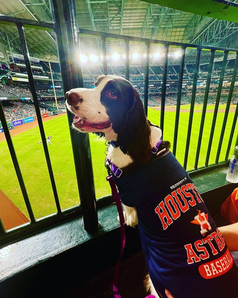 CoachLadner13's tweet photo. Had a great day at the ballpark for Dog Day! 🧡⚾️💙And an Astros win made it even better!! @astros https://t.co/H8vs2iReSK