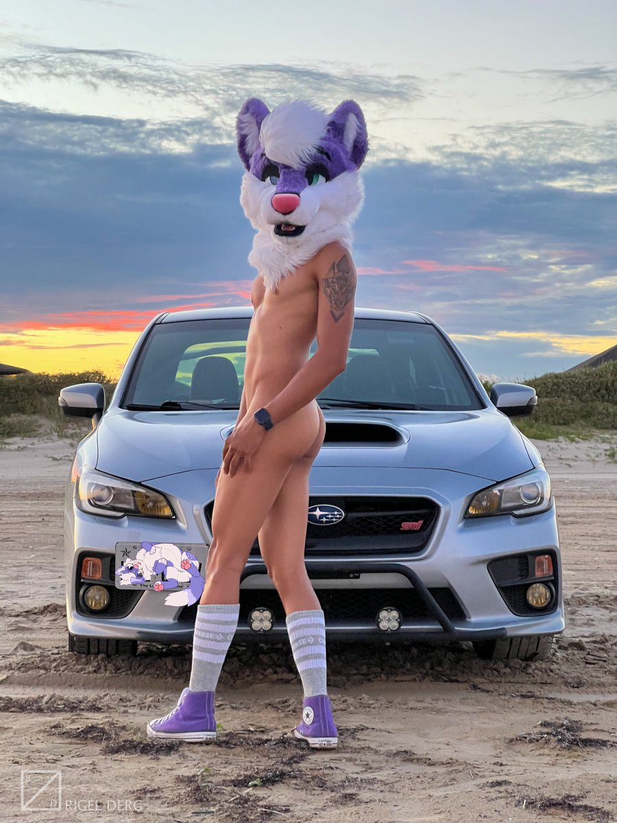 Uber_Ube's tweet photo. Hey!
You enjoying the view too? 💜

📸: @PrivRigel https://t.co/w7UpVBc1i0
