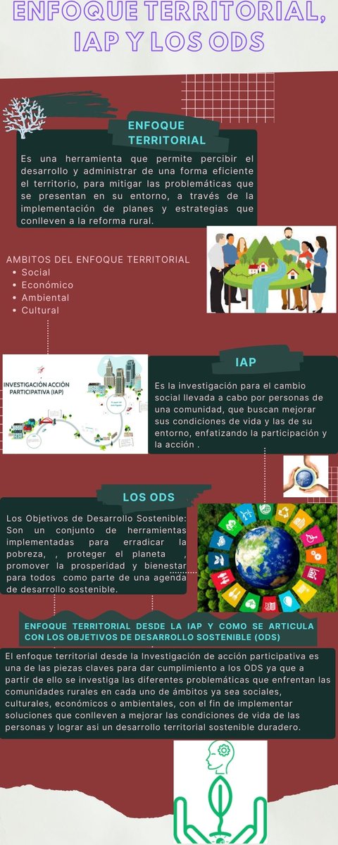Deissy Plazas tweet media