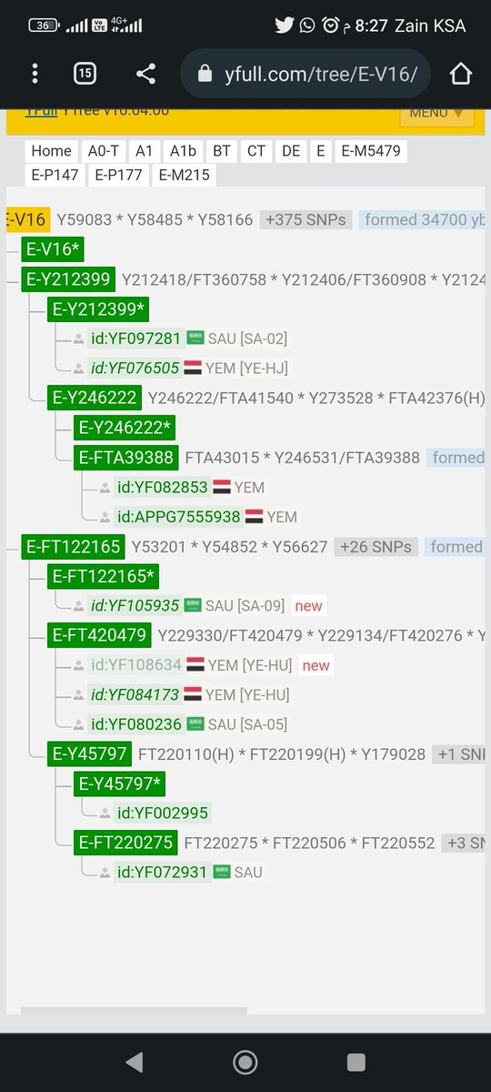 اولا اشكر الاخوان في  ❤️مشروع E_m84❤️
لدعمهم السخي المادي والمعنوي في إظهار العينات للسلاله v16 بالواي فل 

عينة سعودية من إحدى قبائل السعودية الكريمة بجازان
وعينة يمنيه من إحدى قبائل اليمن الكريمة بالحديدة 
 
للعلم أنا غير مخول بالاعلان عن التفاصيل حتى اخد الإذن من أصحابها