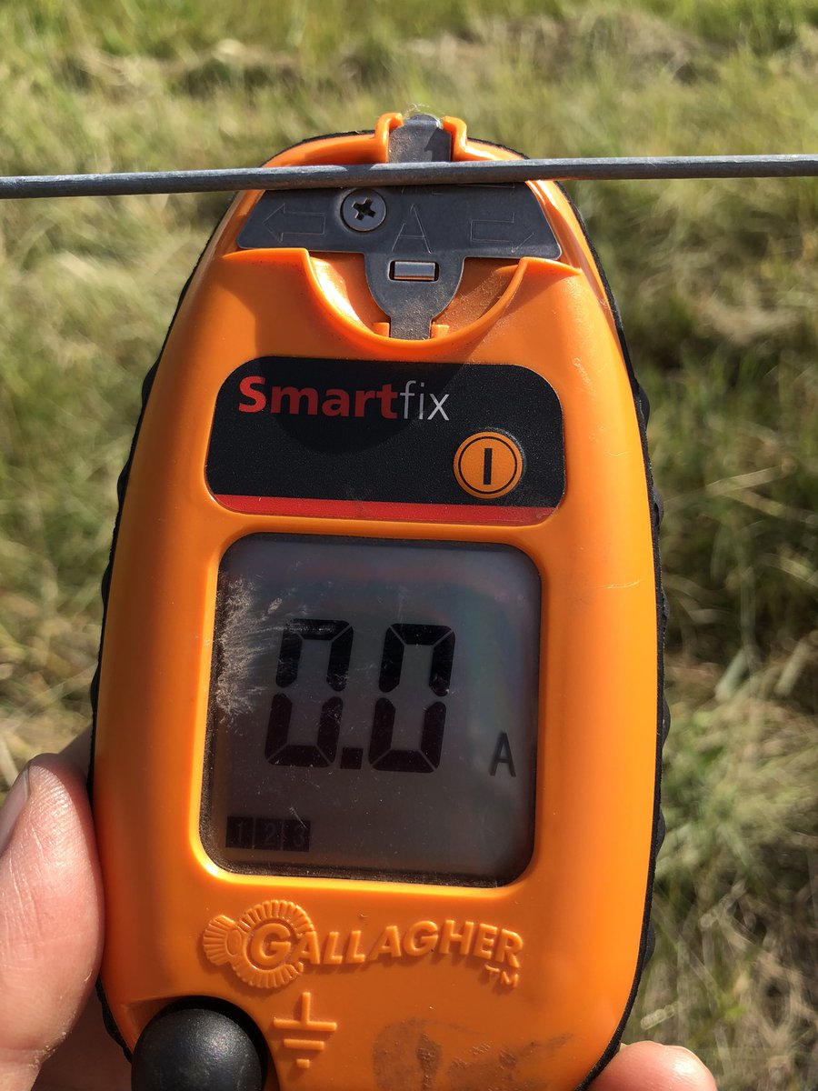 marymacarthur's tweet photo. Love it when electric fences work. Hate it when they don’t. #findthebreak https://t.co/9mYSQVvk1j