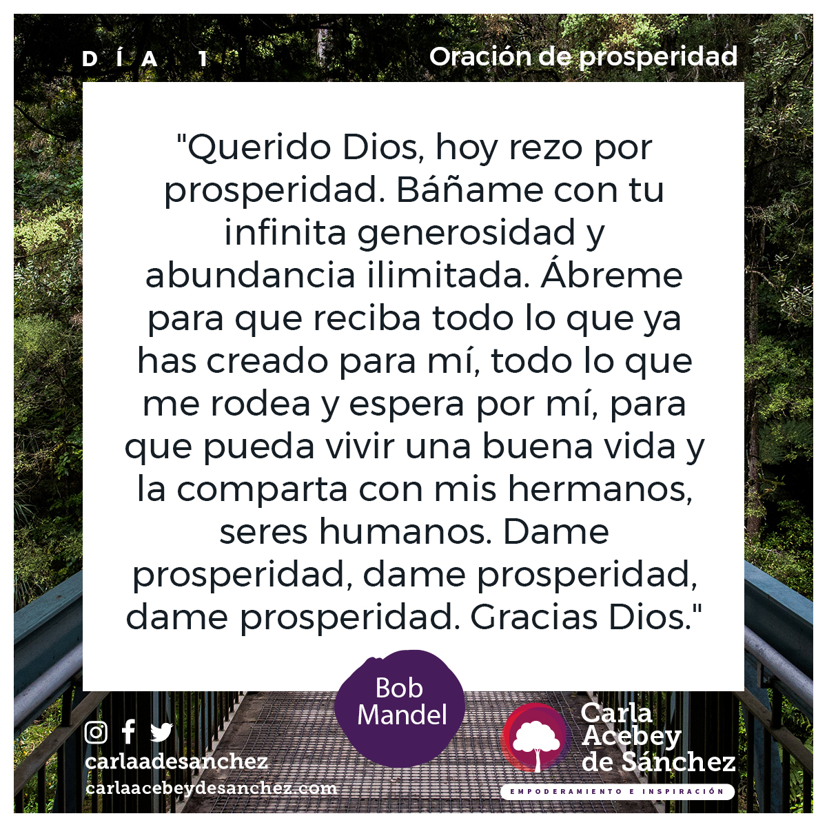 carlaadesanchez's tweet photo. En esta nueva semana comenzamos con nuestras #OracionesDeProsperidad conectándonos con la provisión divina para este tiempo maravilloso y complejo que nos ha tocado vivir. ​
“Querido Dios, hoy rezo por prosperidad. 
Báñame con tu infinita generosidad e ilimitada abundancia....” https://t.co/I2Cf7puz4K