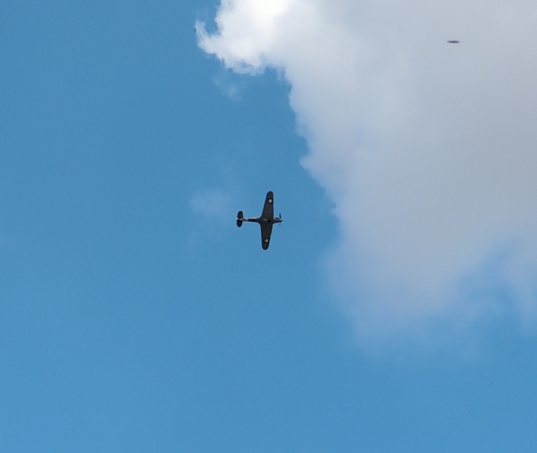 Guy Sutton tweet media