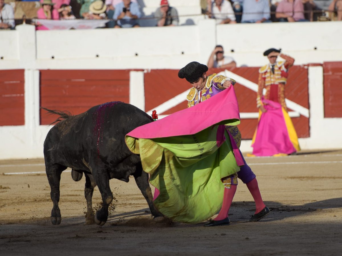 FESTEJOS.- Avance #Linares oreja por coleta para <a href="/RRRafaelillo/">Rafaelillo</a> y <a href="/CurroDiazOf/">Curro Díaz</a> bronca <a href="/MorantedlPuebla/">Morante de la Puebla</a> <a href="/reymataurino/">REYMA Taurino</a> <a href="/MiuraGanaderia/">Miura</a> <a href="/alvaroramirezdc/">Álvaro Ramírez 📸</a> <a href="/Davidcv96_/">David 🪳</a> burladero.tv/festejos/2022/…