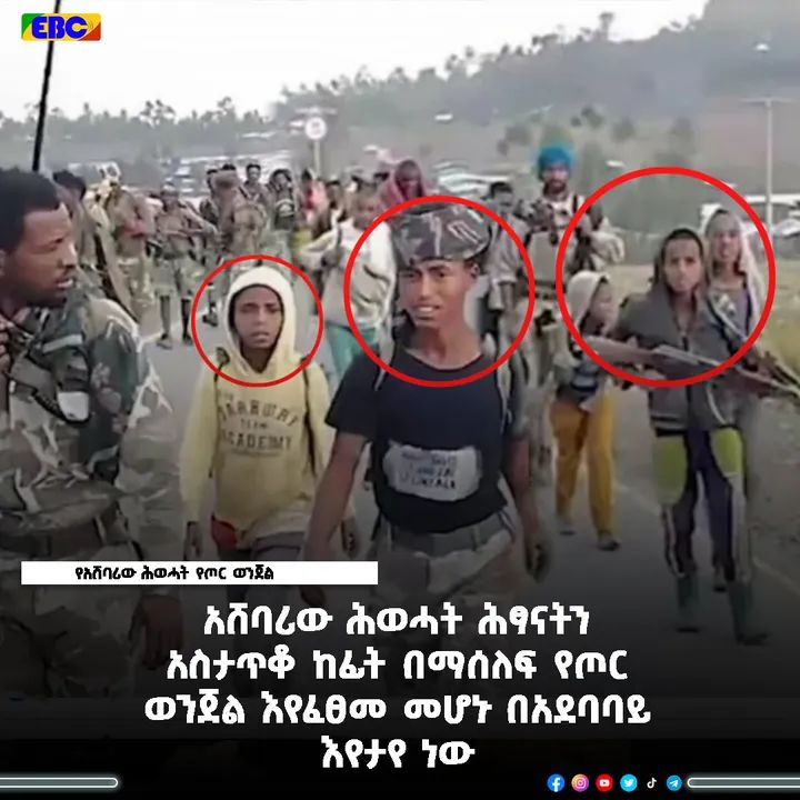 afar_jamal's tweet photo. አሸባሪው ሕወሓት እንደለመደው የሰው ማዕበል በመጠቀም የትግራይን ሕፃናት እና ወጣቶች ወደ እሳት እየማገዳቸው ይገኛል። https://t.co/ZZdsZDrOIC