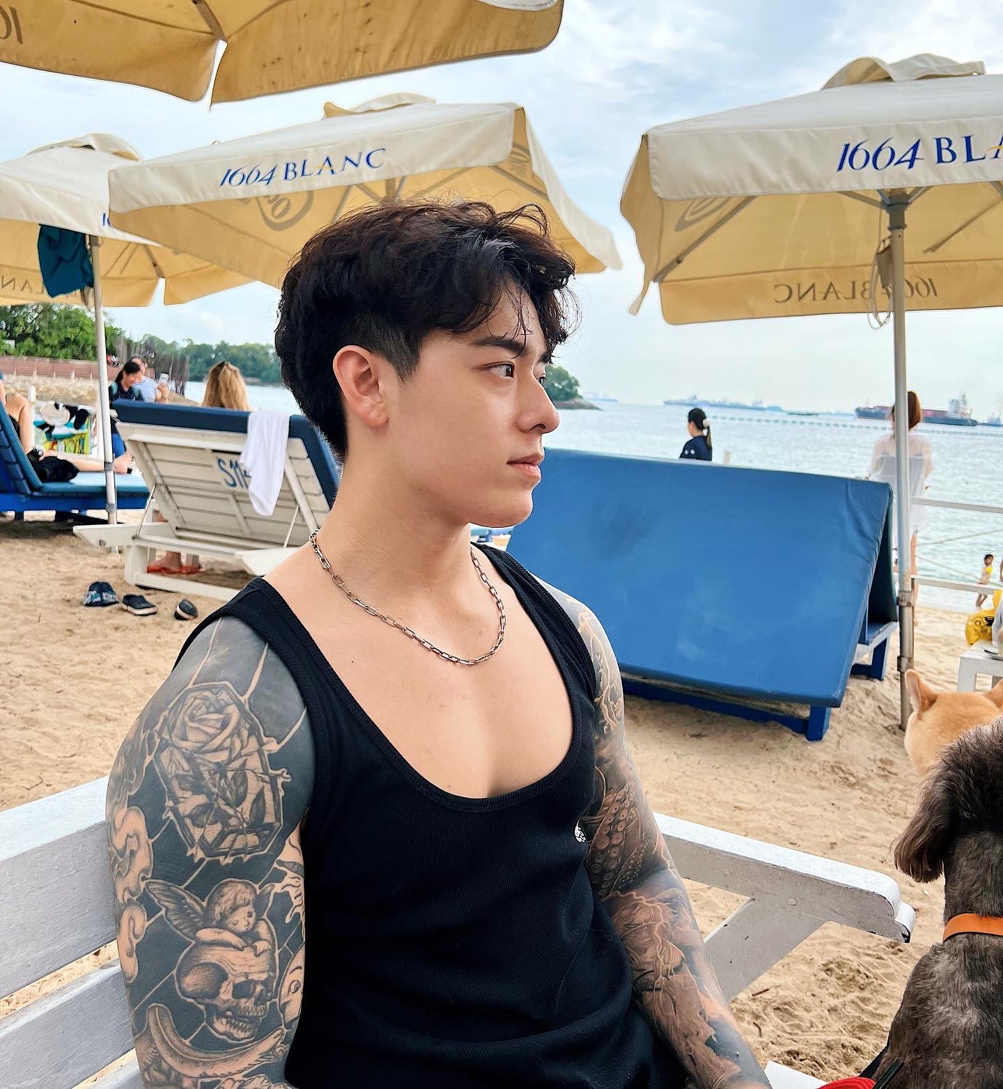 Titus Low on Twitter: &ldquo;Brought my dogs to the beach today ️☀️ https://t