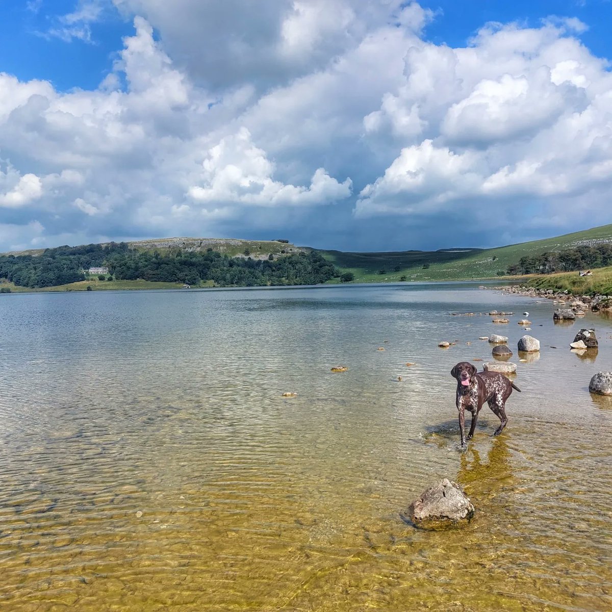 Bank Holiday adventures #MalhamTarn #PendleHill