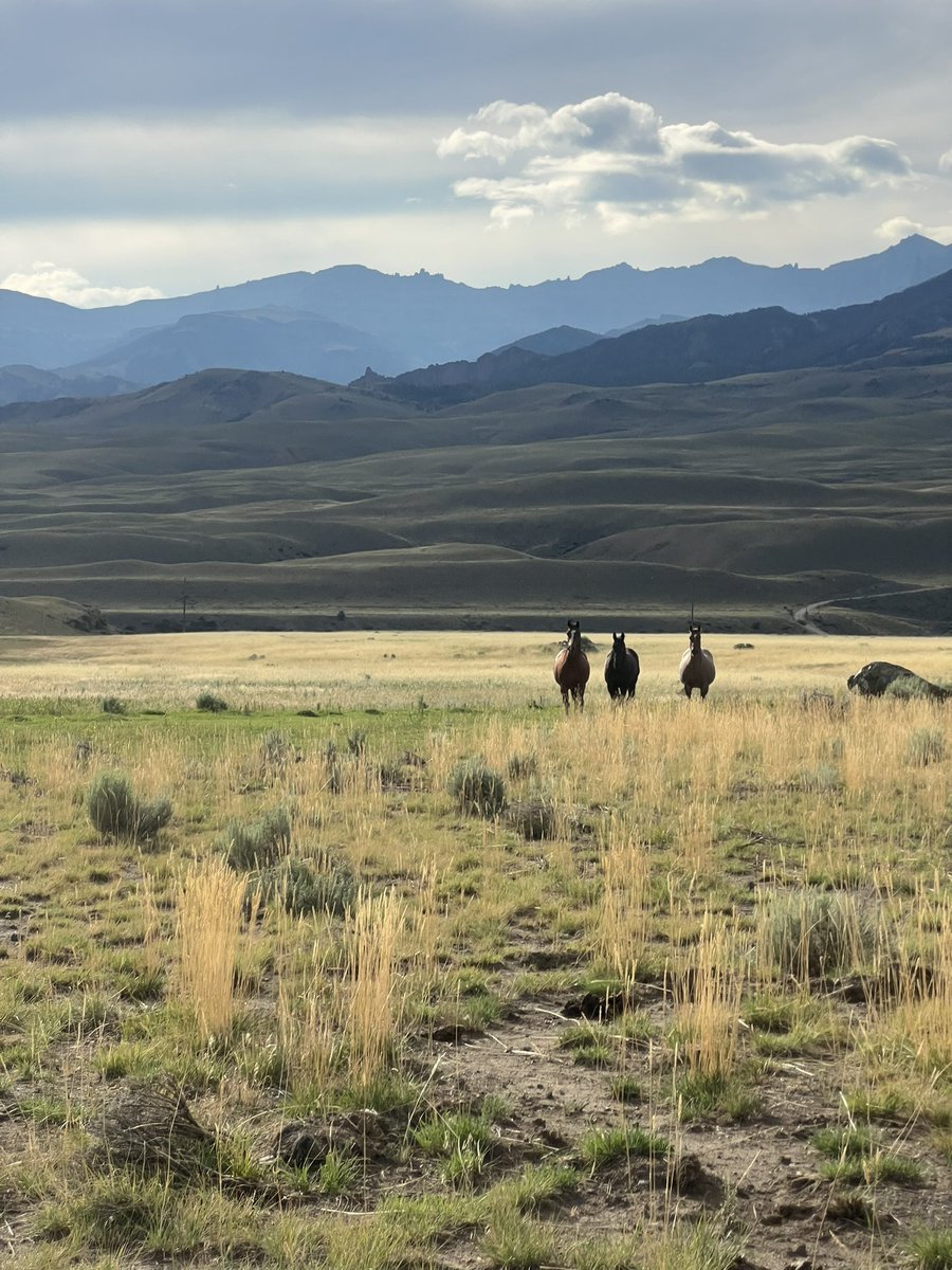 oakleyh21's tweet photo. Out in Wyoming/Montana for a fishing trip and really feeling like I’m in the #wynonnaearp universe! Our Airbnb is called the Homestead! All I need is the Waverly to my Nicole and I’ll be set haha #BringWynonnaHome https://t.co/PvDaClCpPN