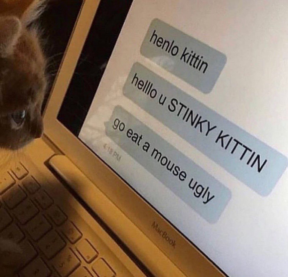 DontShowYourCat's tweet photo. cyber bullied https://t.co/dPskMmnGvx