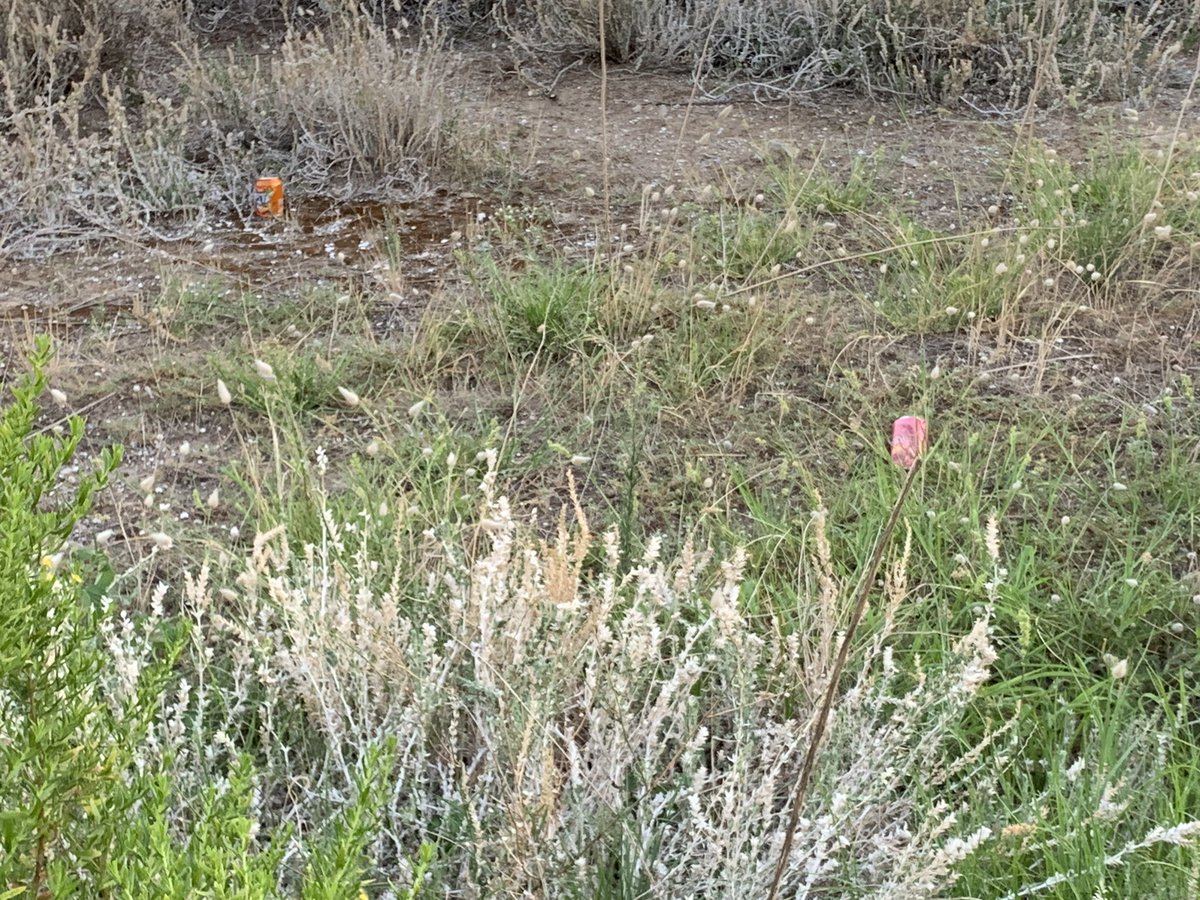 LCunit's tweet image. Gente muy guarra en @Ajuntamentcunit