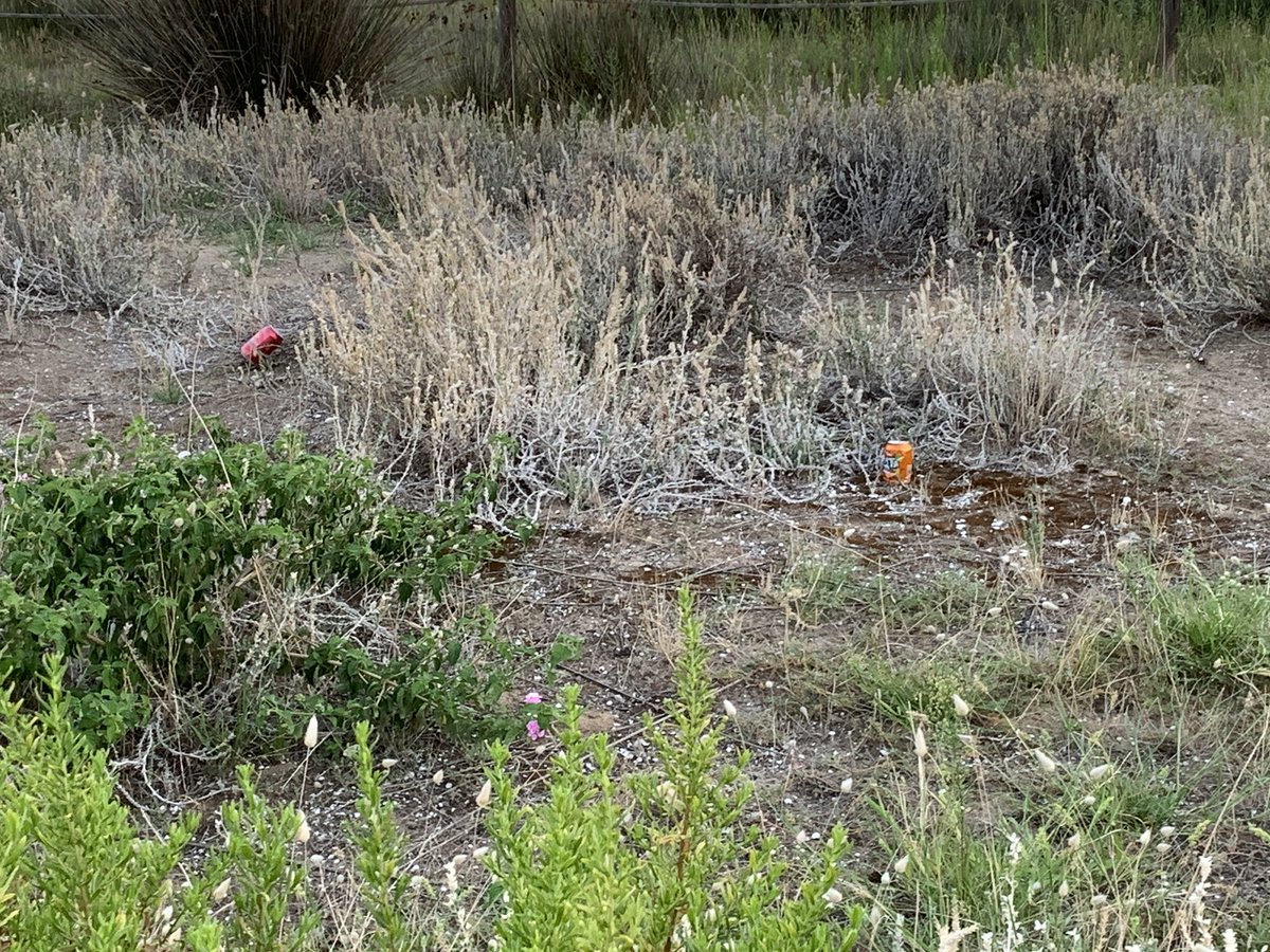 LCunit's tweet image. Gente muy guarra en @Ajuntamentcunit