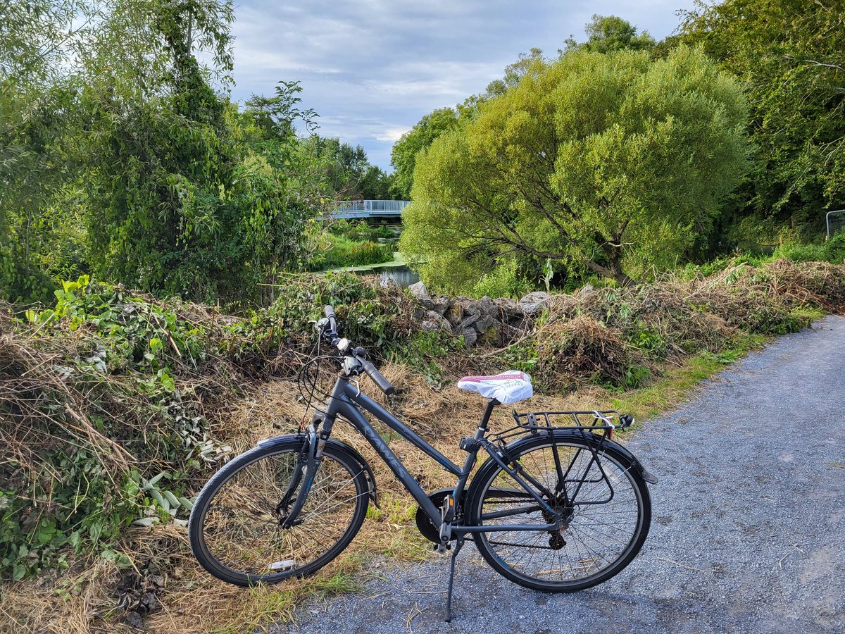 See that there in the background? It's a new bridge at the top of the #GortRiverWalk - simply amazing! It's also part of an age old cycle route that connects <a href="/YeatsThoor/">Thoor Ballylee</a> with Gort !
Interested in more cycle routes? 👇👇
bit.ly/GortCycleTrail…