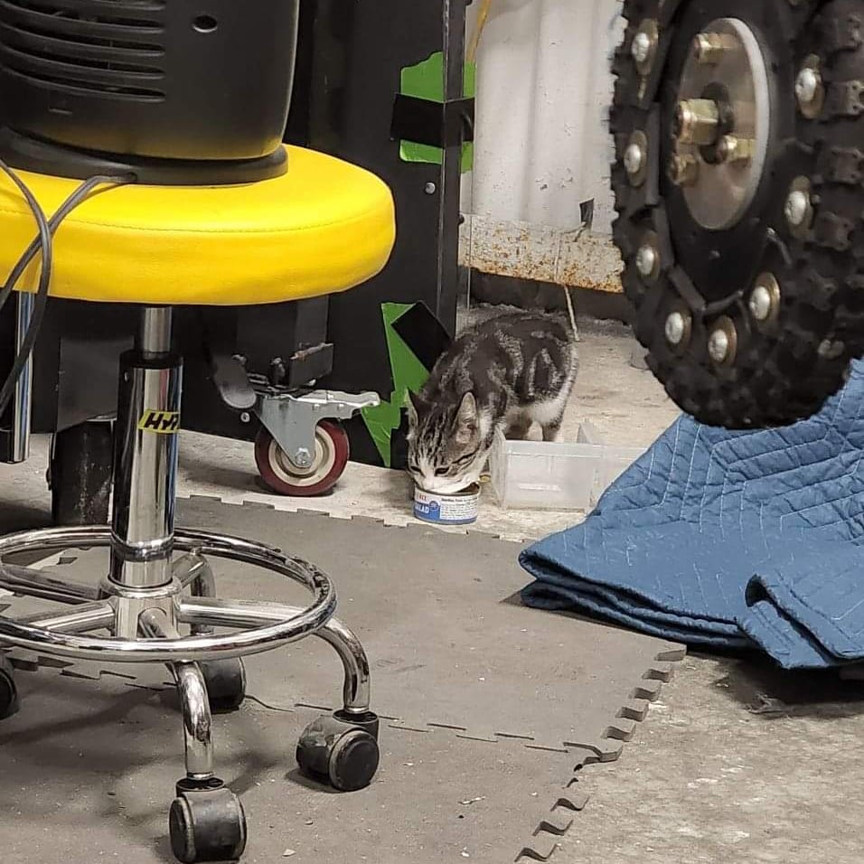 HiJinx - BattleBot tweet media