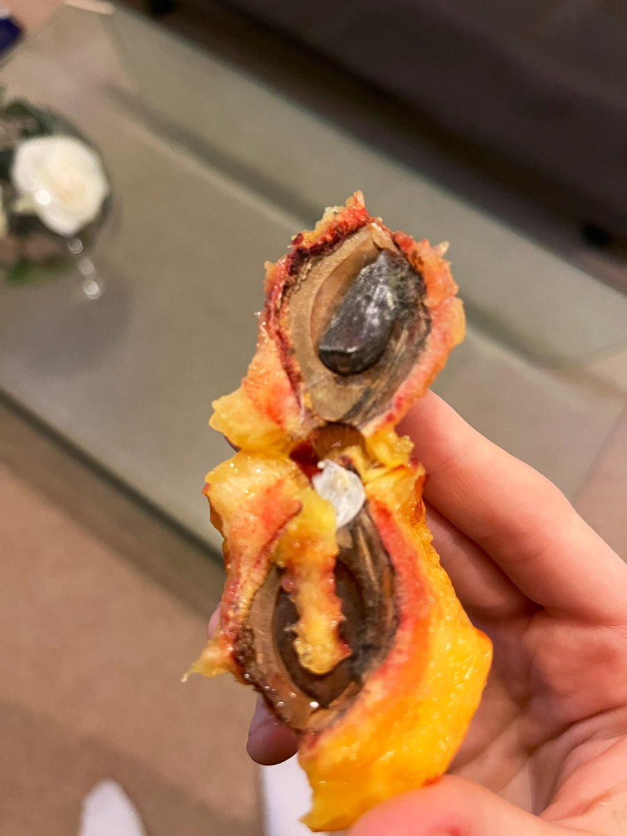 em_96x's tweet photo. @AldiUK don’t you just love when you buy your fruit and it’s mouldy with an insect nest inside 🤢🤢🤢

First and last time I shop there I think https://t.co/0RdfYyUiXe