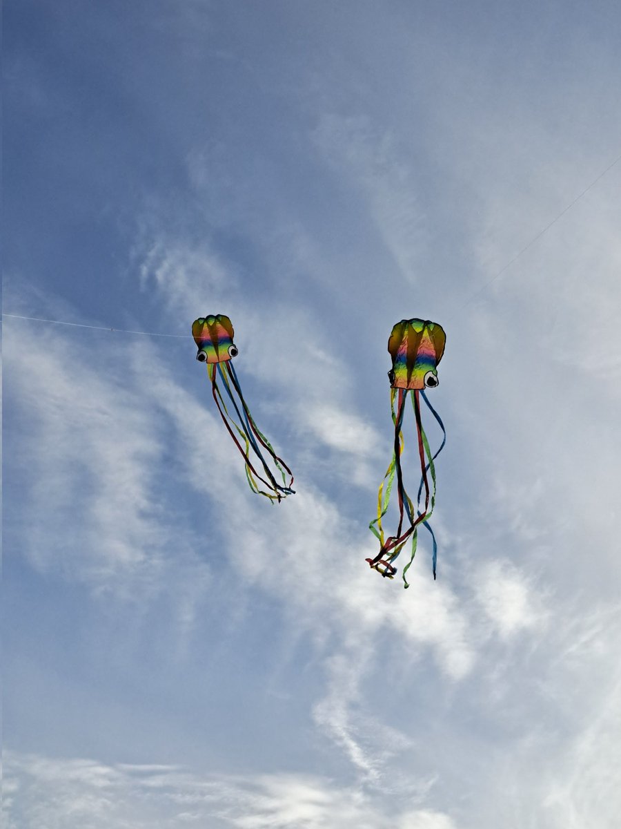 William Broadbent tweet media