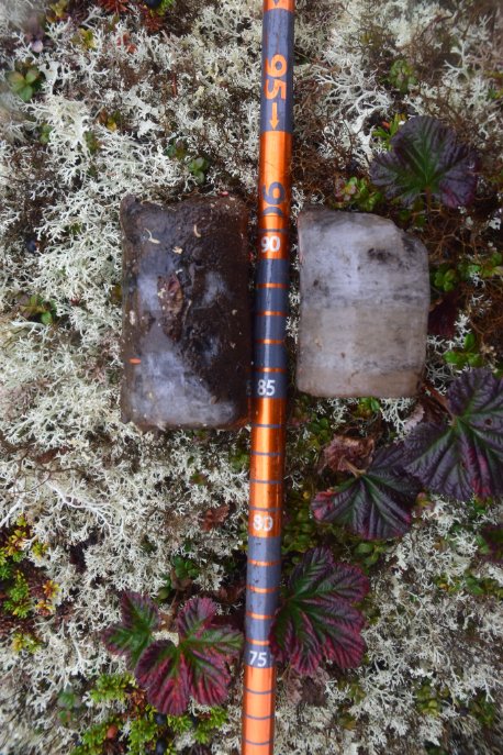 Marsh Lab TVC tweet media