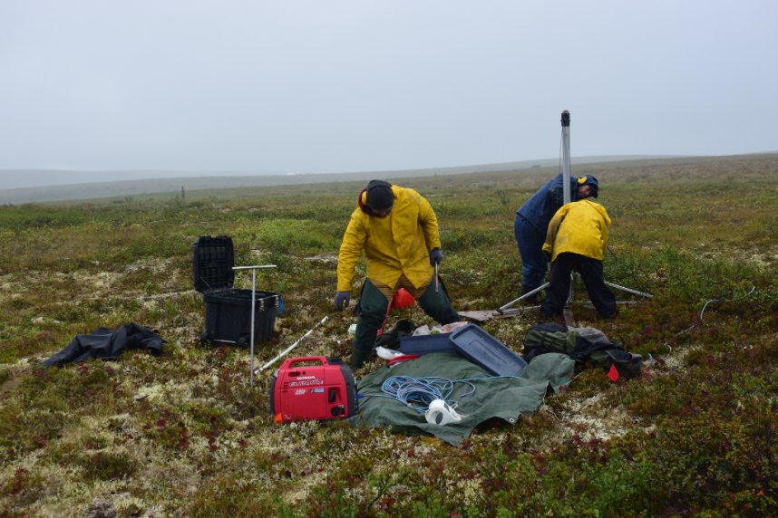 Marsh Lab TVC tweet media