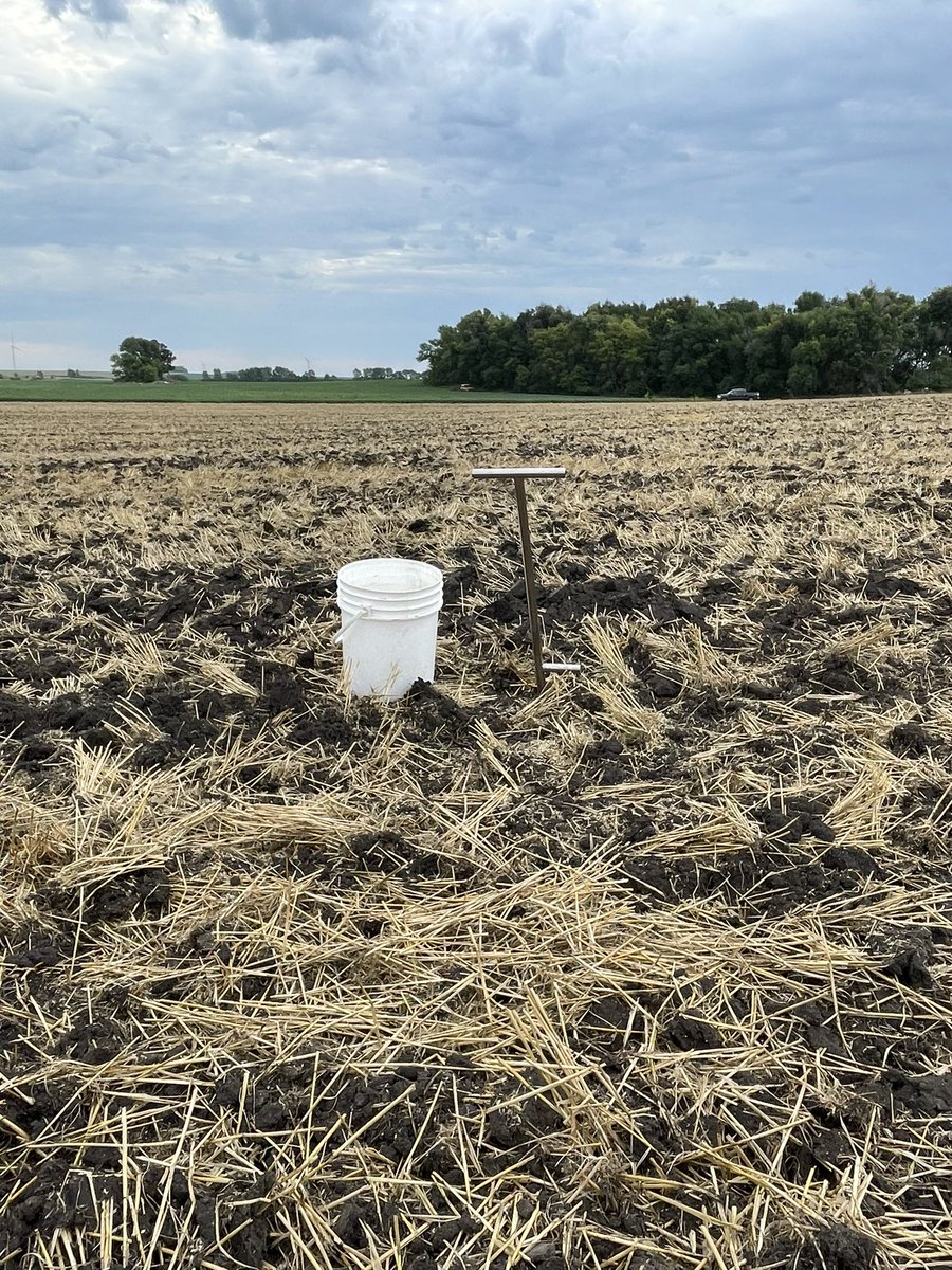 Dale Dwire tweet media